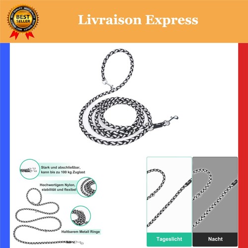 Laisse chien nylon - chien,