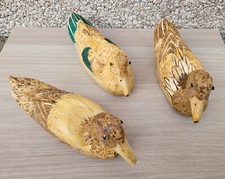 Canard appelant