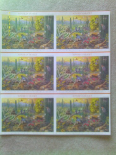 3293 sonoran desert uncut - ,