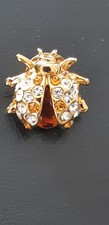 Broche pins Coccinelle dorée+