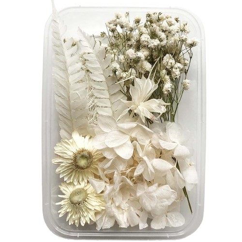 Fleurs séchées - séchées,,