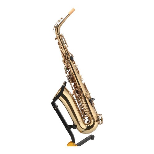 Modèle professionnel - , de