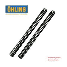 Ohlins Fork Ressorts FORK