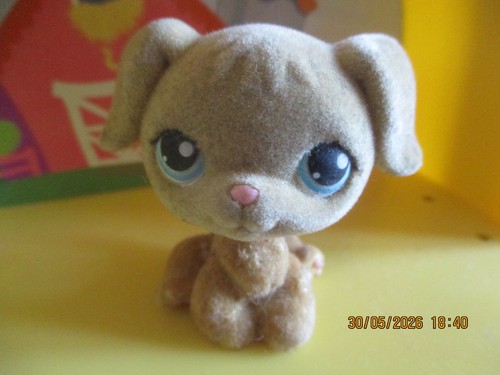 Petshop chien golden - petshop,