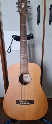 Guitare acoustique cort earth - acoustique,