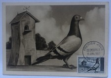 CARTE MAXIMUM 1er JOUR COLOMBOPHILIE VINCENNES DU 12/01/57