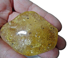 Essaim de moustiques et