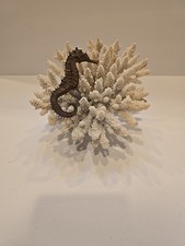 Natural Seahorse Ornament White Natural .Aquarium Tank Decoration Oase