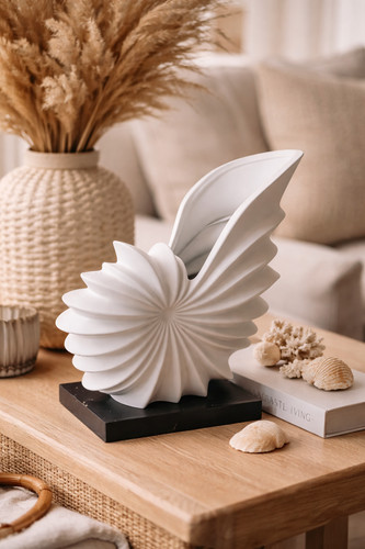Sculpture coquillage design - coquillage,