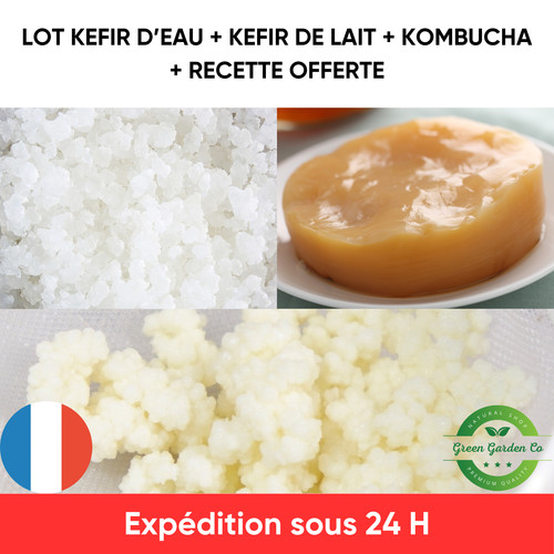 Lot kombucha scoby kéfir de - scoby,