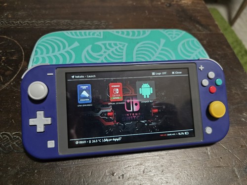 Nintendo switch lite - nintendo,