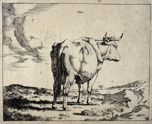 Vache gravure eau forte paulus - gravure,