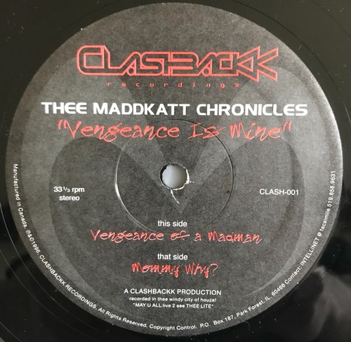 Vinyle maddkatt chronicles - vinyle,