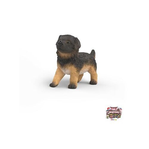 Nouveau chiot berger allemand - nouveau,