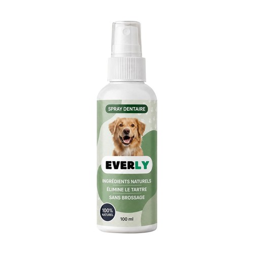 Everly spray dentaire - spray, chien