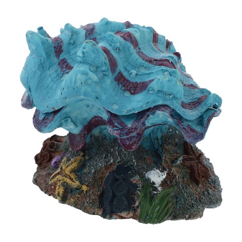 Accessoires pour aquarium - ,
