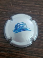 Taittinger Numero 102 Belle Côte Rare Champagne Capsule