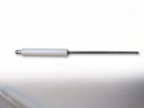 Chappée s50036760 électrode - s50036760,