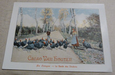 CACAO VAN HOUTEN: CHROMO - In Sologne: The guard of turkeys.