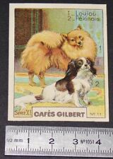 CHROME 1936 COFFEES GILBERT DOG BREEDS LOULOU POMERANIA PEIJING DOGS DOGS