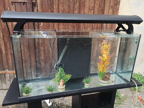 Aquarium verre ép - aquarium,