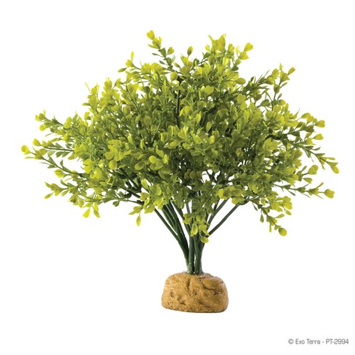 Exo terra plante terrarium - plante,