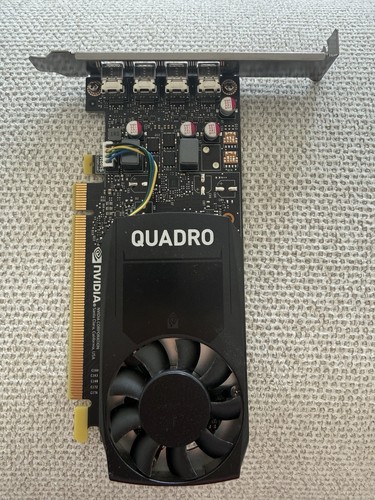 Pny quadro p1000 - p1000, high