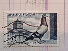 BW484 oblitéré charnière circa 1957 YT 1091 COLOMBOPHILIE