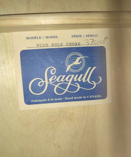 Guitare seagull plus folk - seagull,