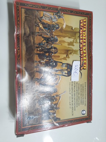 Tomb kings guard roi - 13,