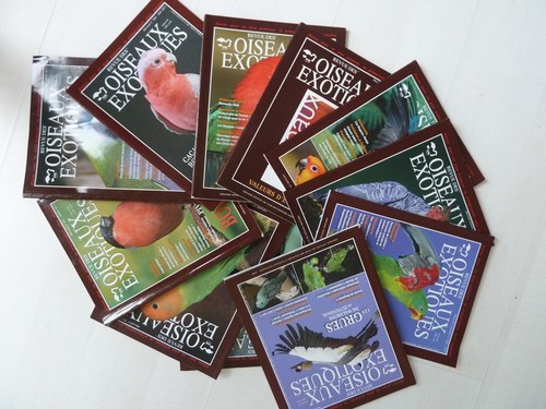 Lot revue des oiseaux - lot, 11