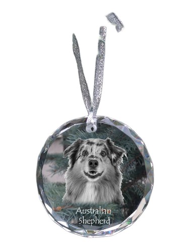 Chien berger australien - de,