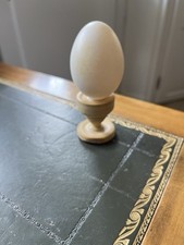 Barbary duck egg hollowed out on boxwood base cabinet of curiosities