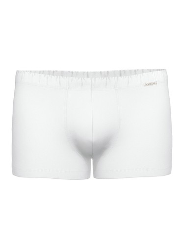 Boxers day modern micro - boxers, /