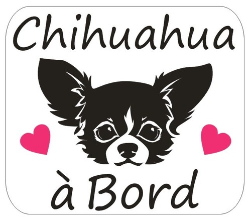Sticker chihuahua à - *,