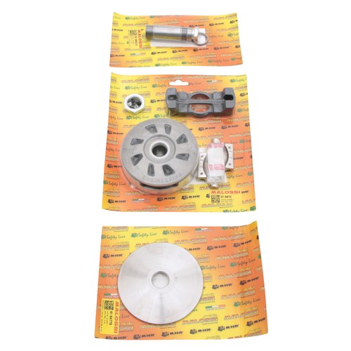 Variateur cyclo malossi
