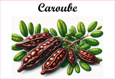 Caroube 12 Etiquettes vinyle conserve fruit légume confiture fait maison
