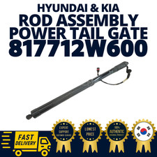 GENUINE OEM Hyundai Kia Strut Rod Assy Power Tail Gate Tailgate Santa Fe