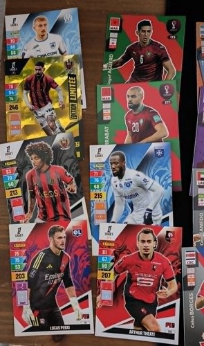 Lot cartes panini qatar - de,