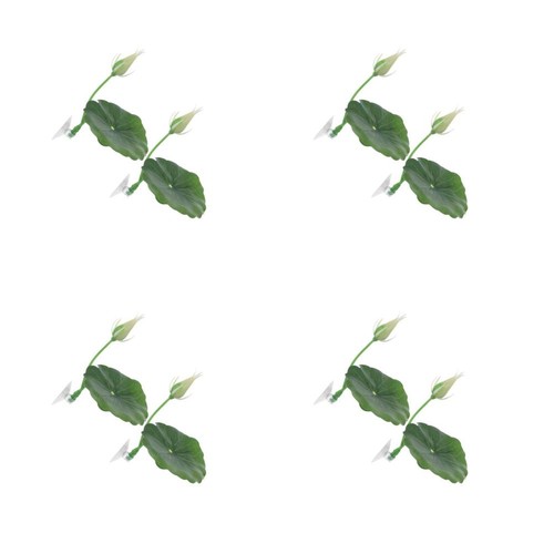 Green betta fish - betta, leaf