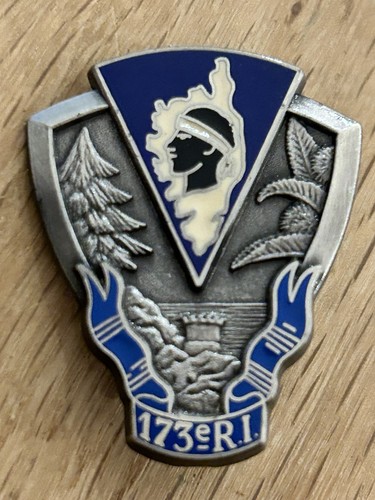 Insigne militaire 173e