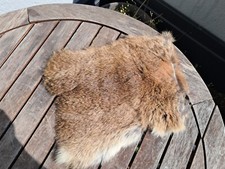 Peau de lapin #37