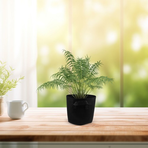Pcs planteuse de pommes - ,