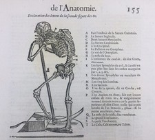 Anatomie 1614 Squelette