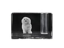 Havaneser, Bichon Havanais, Bichón Habanero - Porte Stylo , Kristallorganizer