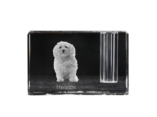 Havaneser bichon havanais - havaneser,,