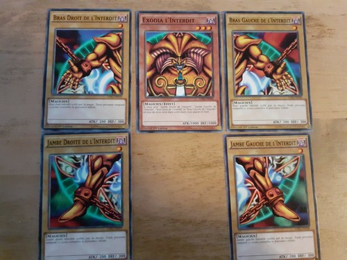 Exodia complet ldk2 fry04 - exodia, /