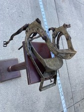 primitive horse speculum dental