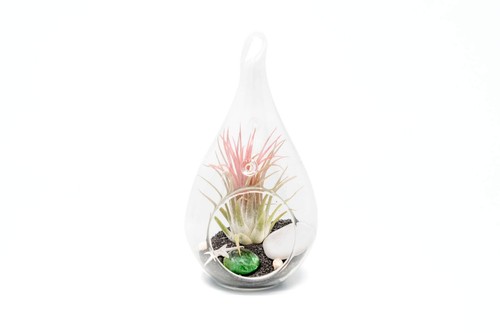 Glass teardrop beachy - glass,