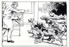 LA REVOLTE DES COBAYES SUPERBE